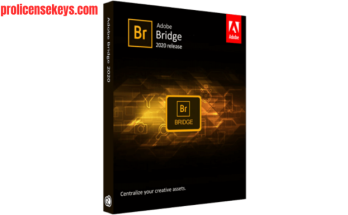 Adobe Bridge 2026 免费下载软件界面