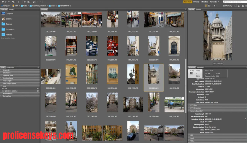 Adobe Bridge 照片管理软件