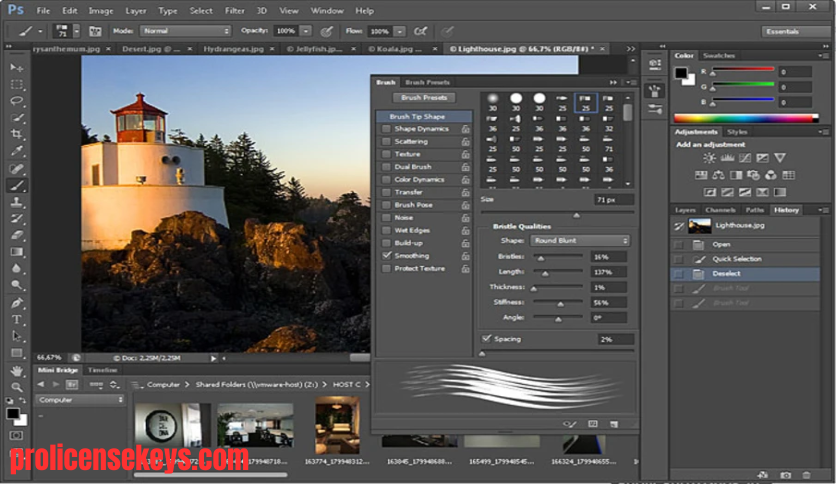 Adobe Creative Cloud 创意软件合集界面