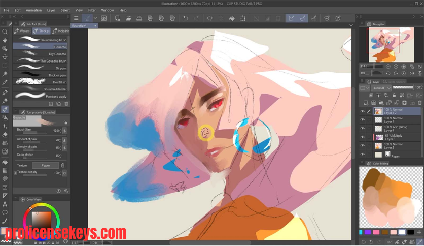 Clip Studio Paint EX 数字绘画软件
