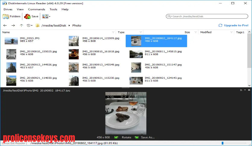 DiskInternals Linux Reader 软件主界面