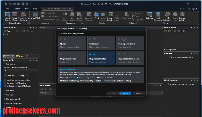 Duplicate File Detective 软件主界面截图，展示实际可见的重复文件扫描和管理选项