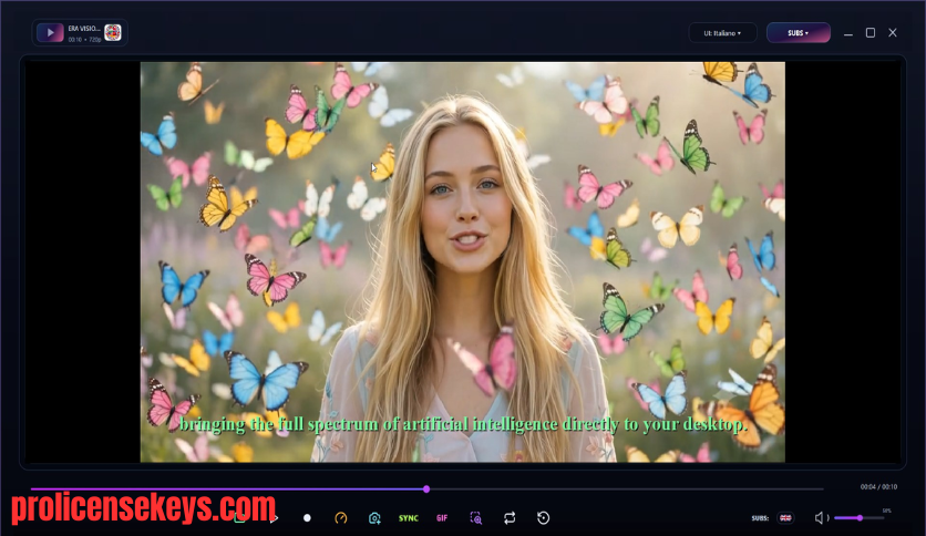 ERA VISION SUBS Windows 软件界面