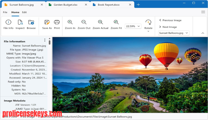 File Viewer Plus 400+ 文件格式支持